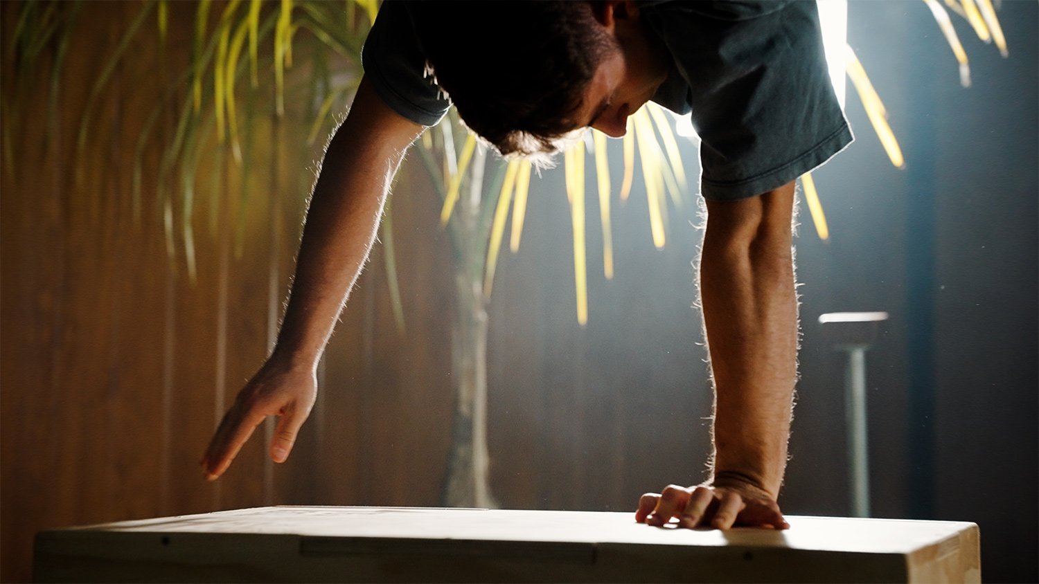 HANDSTANDS class training session at Indogravity Studio